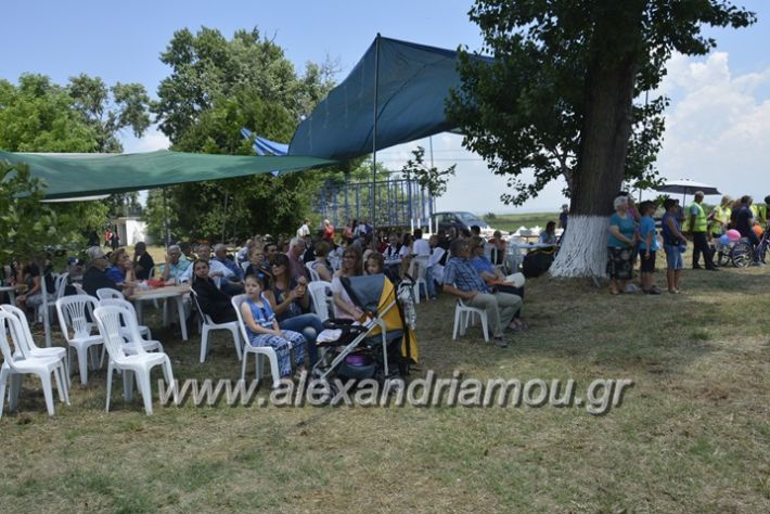 alexandriamou.gr_trikala28.5.2018194